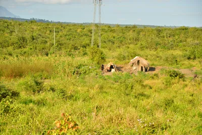 DSC_4356 (Large).JPG